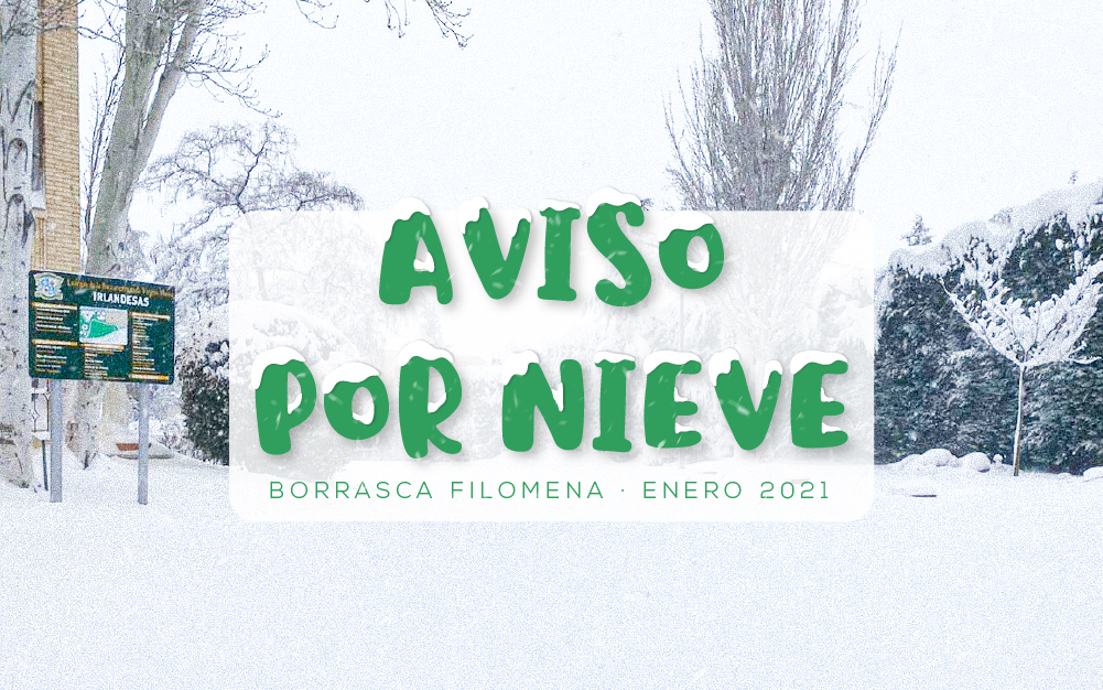 Noticia Nieve · Irlandesas El Soto